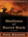Five Star Christian Fiction  Stallions At Burnt Rock