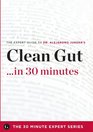 Clean Gut in 30 Minutes  The Expert Guide to Alejandro Junger's Critically Acclaimed Book
