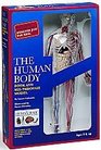 The Human Body Book and SeeThrough Model