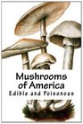Mushrooms of America Edible and Poisonous