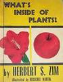 What's inside Plants?