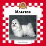 Maltese (Dogs Set VI)