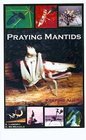 Praying Mantids Keeping Aliens