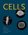 Cells Molecular Biology Supplement on Cd