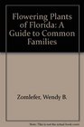Flowering Plants of Florida A Guide to Common Families