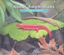 About Amphibians A Guide for Children