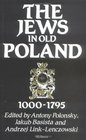 The Jews in Old Poland 10001795