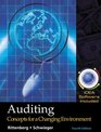 Auditing Concepts for Changing Environment