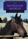 The Morgan Horse