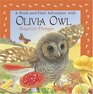 A Peekandfind Adventure With Olivia Owl
