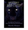 Mystery Big Cats