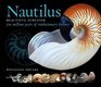Nautilus Beautiful Survivor 500 Million Years of Evolutionary History