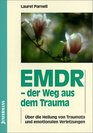 EMDR der Weg aus dem Trauma