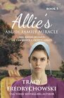 Allie's Amish Family Miracle: An Amish Fiction Christian Novel (The Amish Women of Lawrence County)