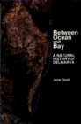 Between Ocean and Bay A Natural History of Delmarva