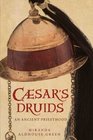 Caesar's Druids An Ancient Priesthood