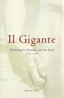 Il Gigante: Michelangelo, Florence, and the David 1492--1504