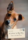 A Letter to My Dog Notes to Our Best Friends