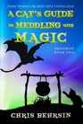 A Cat's Guide to Meddling with Magic A Humorous Fantasy Adventure