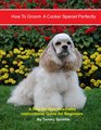 How to Groom A Cocker Spaniel Perfectly A Step By Step Instructional Guide for Beginners