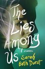 The Lies Among Us A Novel