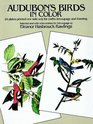 Audubon's Birds in Color for Decoupage