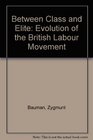 Between Class and Elite Evolution of the British Labour Movement