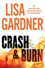 Crash and Burn (Tessa Leoni, Bk 3) (Large Print)