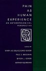 Pain As Human Experience An Anthropological Perspective