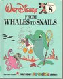 From Whales to Snails (Disney's Fun to Learn Series)
