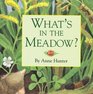 What's in the Meadow