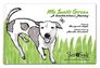 Mo Smells Green A Scentsational Journey