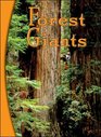 Forest Giants  Infosteps