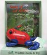 Song of La Selva A Story of a Costa Rican Rain Forest Incl Toy