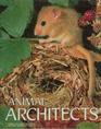 Animal Architects/Book With Poster