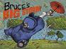 Bruce's Big Storm (Mother Bruce Series)