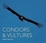 Condors and Vultures