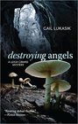 Destroying Angels (Leigh Girard, Bk 1)