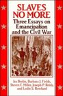 Slaves No More  Three Essays on Emancipation and the Civil War