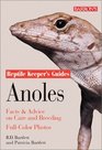 Anoles Facts and Advice on Care and Breeding