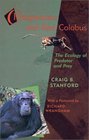 Chimpanzee and Red Colobus  The Ecology of Predator and Prey With a Foreword by Richard Wrangham