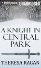 A Knight in Central Park