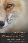 Kissed by a Fox And Other Stories of Friendship in Nature