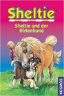 Sheltie Sheltie und der Hirtenhund