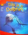 This is a Dolphin