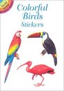 Colorful Birds Stickers