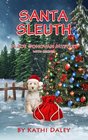 Santa Sleuth (Zoe Donovan, Bk 18)