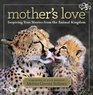 Mother's Love Inspiring True Stories From the Animal Kingdom