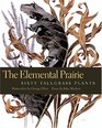 The Elemental Prairie Sixty Tallgrass Plants