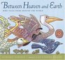 Between Heaven and Earth  Bird Tales from Around the World